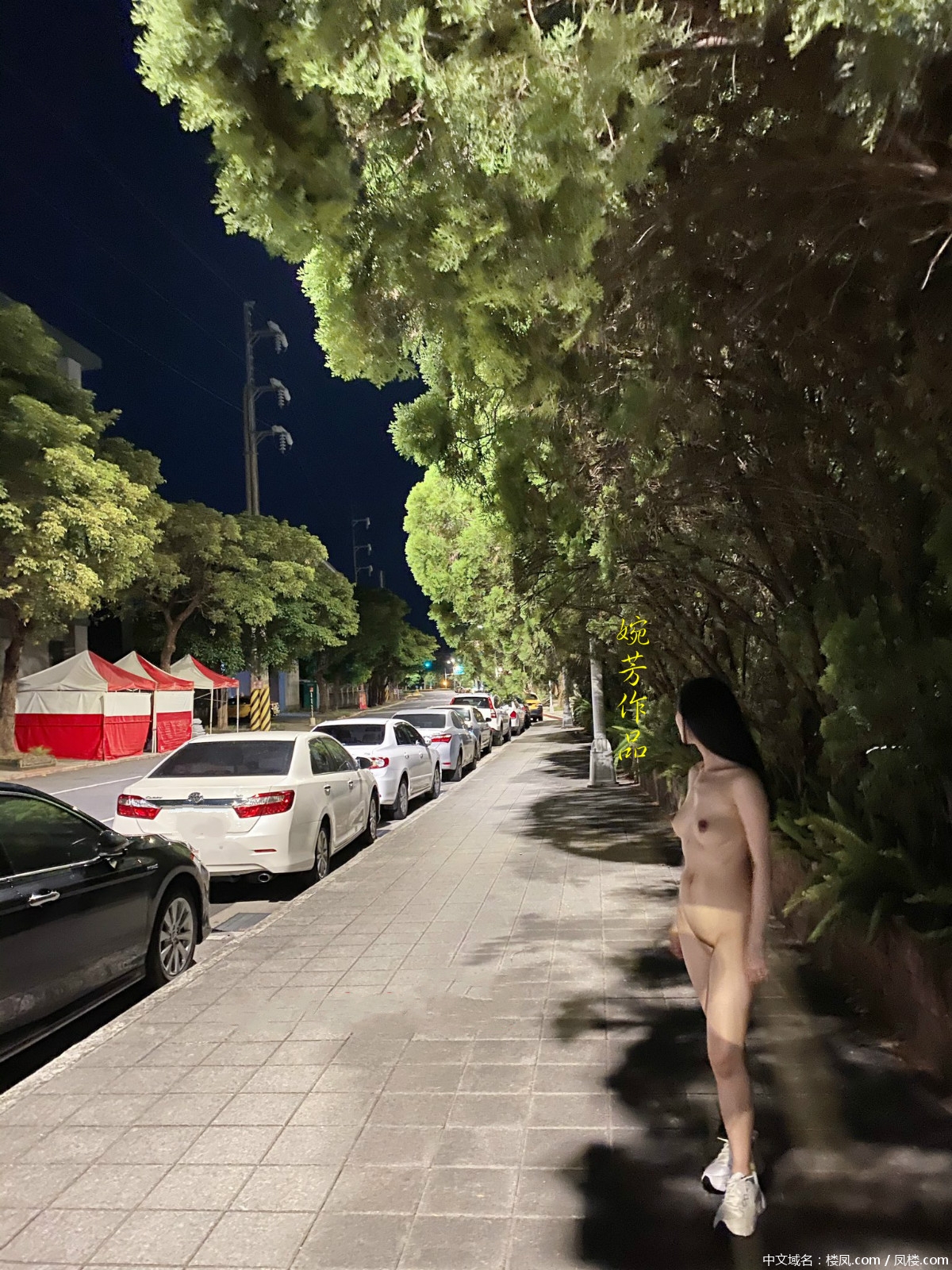 s8lq4c.jpg